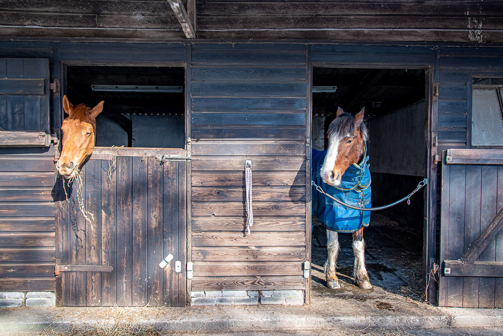 Horse friendly holiday accommodation in the Peak District at Rushop Hall