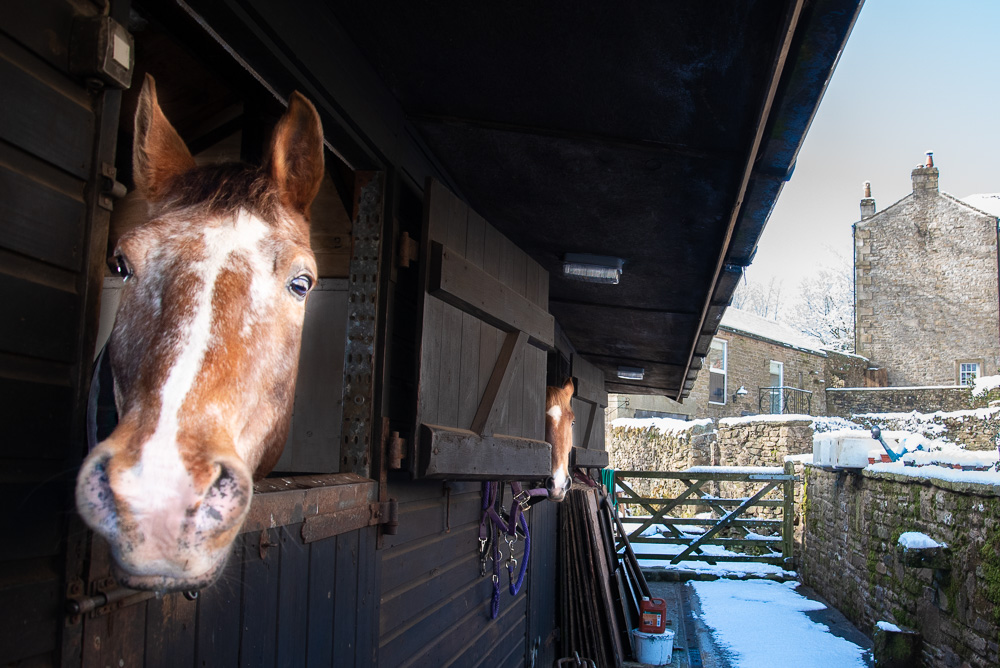 Horse friendly holiday accommodation in the Peak District at Rushop Hall