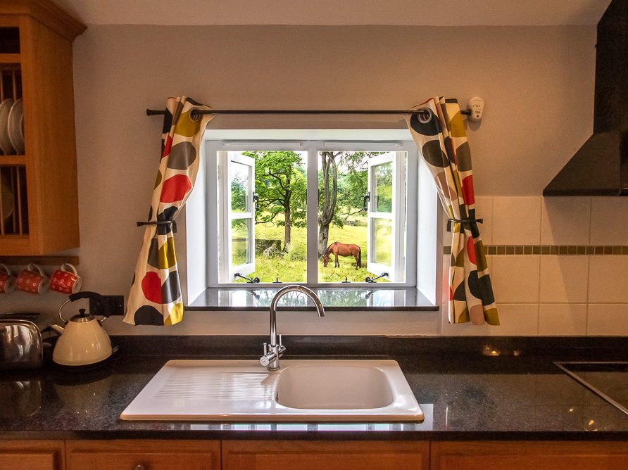 View from the Irishman's kitchen to horses and fields of the Peak District