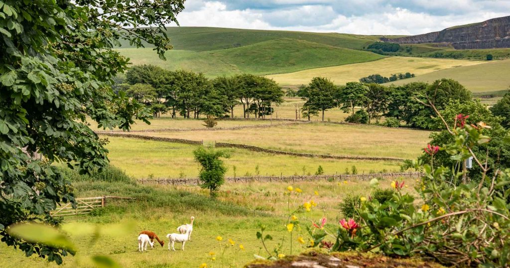 View over the countryside at Artbell farm